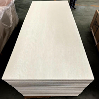 Panneau de porte intérieure économique en HDF, finition grain de bois blanc, design moderne, coupe-vent, pour entrepôts et supermarchés