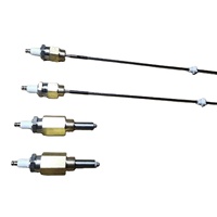 Pièce d'allumeur en céramique d'alumine de bougie d'allumage d'électrode avec le fil de 1/2 NPT