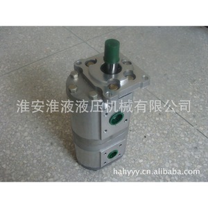 ปั๊มเกียร์คู่แบบสั่งทำพิเศษ CBNl-F563/F525 - Product Image 2