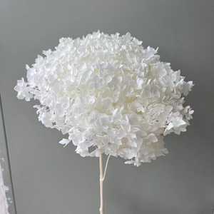 批发20-25厘米直径厂家直销永生花安娜绣球花婚礼母亲节圣诞花束 - Product Image 1