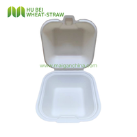 Boîte à gâteau à emporter 4x4 pouces en canne à sucre, conteneur à dessert jetable à clapet, écologique, en fibre végétale