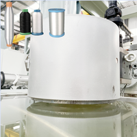 PET/PP/PA/Nylon Textile Couture Broderie Monofilament Ligne de production