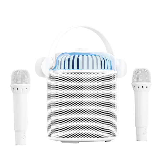 Surprise Price Audio System 20W Karaoke Speaker Bluetooth Portable Speaker With Wireless Microphone for Party Outdoor Activities