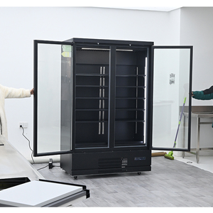 Équipement commercial de réfrigération, congélateur vertical compact et efficace à dégivrage automatique, vitrine réfrigérée pour aliments congelés - Product Image 1