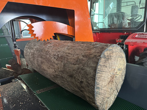 Procesador de Leñ<span class=keywords><strong>a</strong></span> con Control por Joystick, Longitud de Corte de 24 Pulgadas, Maquinaria Forestal de Alta Calidad, PTO 1, Uso Doméstico, 1 <span class=keywords><strong>A</strong></span>ño de Garantí<span class=keywords><strong>a</strong></span> - Product Image 2