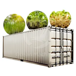 OCEAN Electric Automatic Lettuce Seed Sprout Equipment Mung Bean Alfalfa Sprout Growing Germination Machine