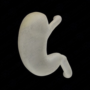 Impresión <span class=keywords><strong>3D</strong></span> modelo educativo médico Polyjet simulación de goma a todo color alta calidad transparente tamaño <span class=keywords><strong>real</strong></span> - Product Image 2