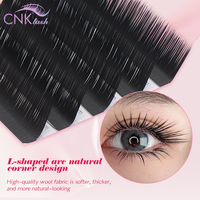 Extensions de cils Camellia Lash, effet naturel Fox Angle, sans éventails détachés, usage professionnel en salon