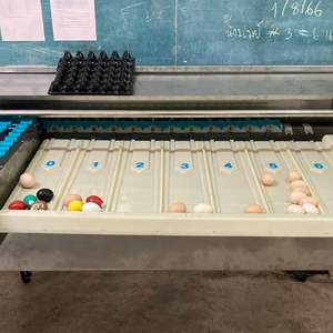 Chariot de tri des œufs en acier inoxydable professionnel, 4500 œufs par heure, traitement automatique des œufs - Product Image 6