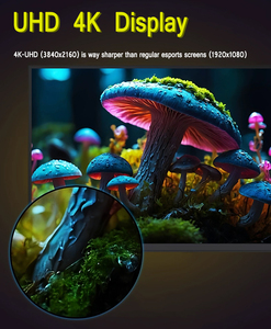 Moniteur de jeu 24 pouces, écran incurvé IPS, réglable en hauteur et rotatif, interface DP, 240 Hz - Product Image 4