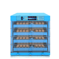 Équipement Agricole pour Poulets, Canards, Cailles – Incubateurs d'Œufs Entièrement Automatiques Bleus pour Oiseaux, à Vendre