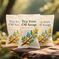Sachet en plastique scellé imprimé sur mesure, pochette en plastique, emballage pour savon à l'huile essentielle d'arbre à thé