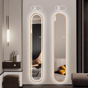 Espejo de Cuerpo Entero de Lujo, Tamaño Pequeño, Extremadamente Estrecho, con Luz LED, Decoración para Entrada, Espejo Largo para Colgar en la Pared - Product Image 1