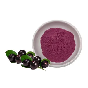Acai Berry Powder Brazil Acai Berry Seeds Extract Powder Factory Directly Sale