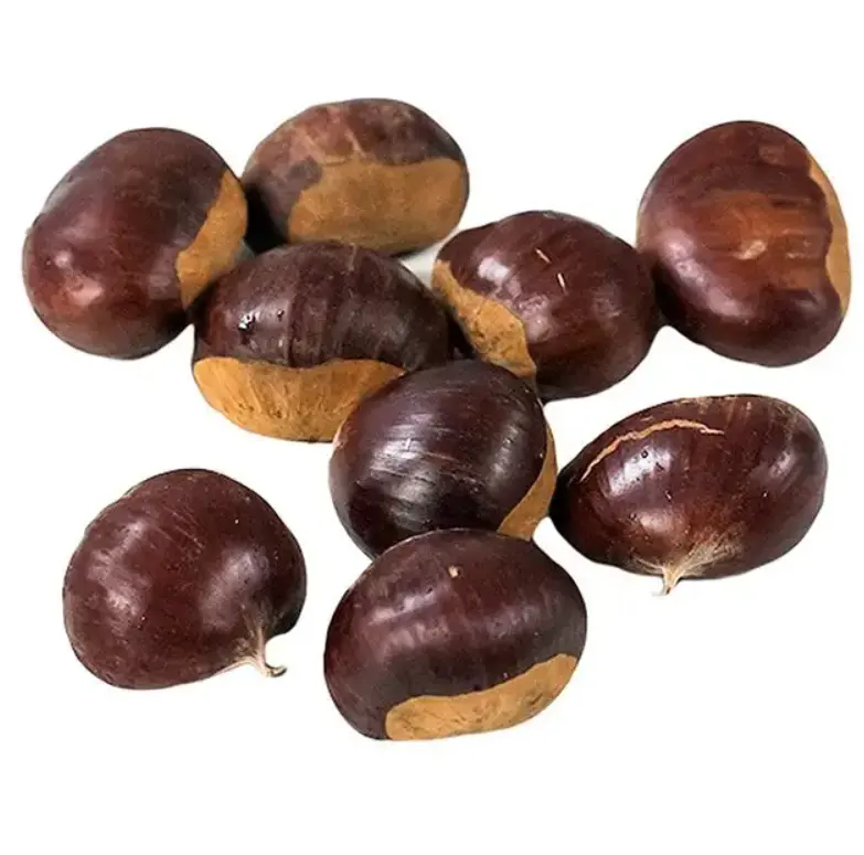 Las mejores nueces de pecho de Grado Superior/nueces de pecho perrera castañas frescas crudas precio barato