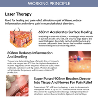 Appareil laser portatif fiable de 305 W pour soulager l'inconfort inflammatoire, favoriser la récupération tissulaire post-chirurgie et soulager les blessures musculaires profondes
