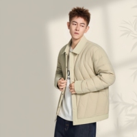 Vestes en duvet pour hommes en gros d'usine, nouvelles vestes d'hiver pour hommes, tendance et polyvalentes, chaudes et résistantes au froid, avec col chaud