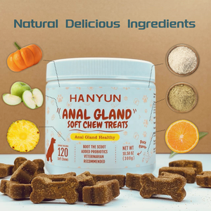 Godemichet Anal à mâcher doux avec citrouille pour chiens, enzyme nutritionnelle-supplément en fibres probiotiques pour chiens - Product Image 2