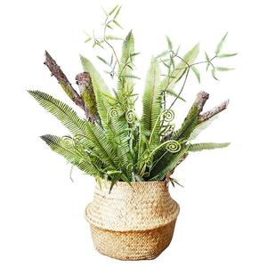 Planta Artificial, Pared Verde Artificial, Flores y Plantas Decorativas, Artículos de Jardinería, Helechos Artificiales para Fiestas - Product Image 6