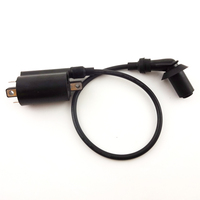 Bobine d'allumage pour GY6 260cc cyclomoteur Scooter 260cc 300cc ATV Quad