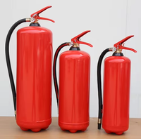Extincteur vide DCP ST12 27 pour la maison, le bureau, l'entrepôt, la lutte contre les incendies, la sécurité et la protection, 6/5/6 kg, avec valve turque