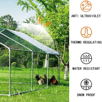Poulailler en métal pour animaux de compagnie, petite volière pour poules, pour jardin, cour, patio, pelouse, extérieur