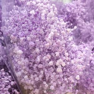 Cadeau en gros pour les femmes Bouquet de fleurs séchées romantique fleur de gypsophile conservée gypsophile séchée babybreath - Product Image 5