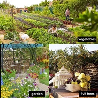 Pièges à oiseaux écologiques et résistants à la corrosion pour les moineaux, les cailles et les petits oiseaux - Accessoires de jardin, filet de chasse, contrôle des nuisibles