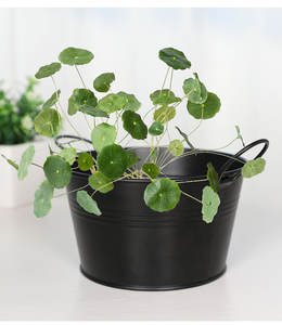 Seau en métal en acier galvanisé rose/bleu/blanc/noir <span class=keywords><strong>Mini</strong></span> 12x8.5x15cm Pot de plante en métal Pot de fleur en métal - Product Image 2