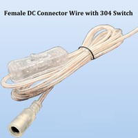 Fabricant de néons personnalisés, fil transparent pour femme, câble transparent de 2 m, prise d'alimentation DC, connecteur 5,5x2,1 mm pour éclairage au néon LED