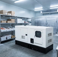 Groupe électrogène diesel silencieux avec capot insonorisé ATS électrique 110V-480V, y compris sortie CA monophasée 220V 50/60Hz