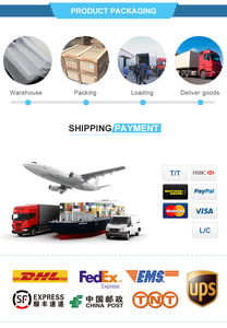 Wondfo YG-102, analyseur rapide d'hormone de la progestérone pour cliniques vétérinaires, réutilisable et automatique - Product Image 5