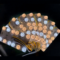 Module LED 10V 220V télécommandé, 6 LED, blanc, jaune, multi-puces, lumières modulaires pour hôtel, éclairage paysager