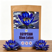 Thé de fleurs de lotus bleues séchées en vrac 100 % biologique OEM, pur et naturel, sans additifs, à base de plantes