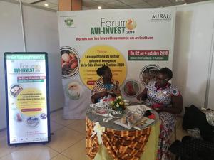 علامة ، معدات إعلانية محمولة ، حقيبة ظهر متينة ، لوحة عرض للتسويق والأعمال - Product Image 4