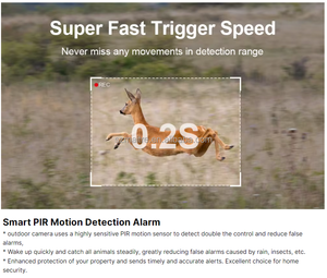 Gran oferta 4G Mini Cámara camuflaje MC-4G01 1080P visión nocturna detección de movimiento IP66 impermeable hogar seguridad al aire libre - Product Image 5