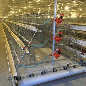 自動養鶏場タイプ自動バッテリー鶏層ケージシステム自動卵収集機付き