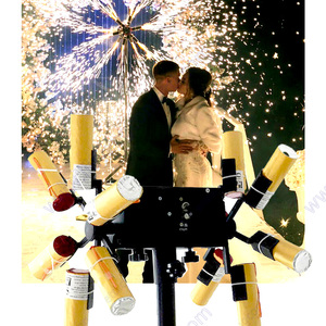 Elektronische Pyro Windmolen Afstandsbediening Afvuursysteem Cake Rotatie Machine Voor Podiumvoorstelling Bruiloft Kerst Nieuwjaar Bruid - Product Image 4