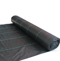 Tissu barrière en soie tissé noir PP, barrière de contrôle des mauvaises herbes, 3 pieds x 50 pieds, tapis agricole anti-herbe