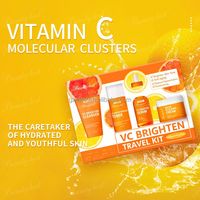 Kit de Cuidado de la Piel de Marca Privada OEM, Orgánico 100%, Vitamina C Blanqueadora e Iluminadora, Set de Regalo Facial Coreano de 5 Piezas