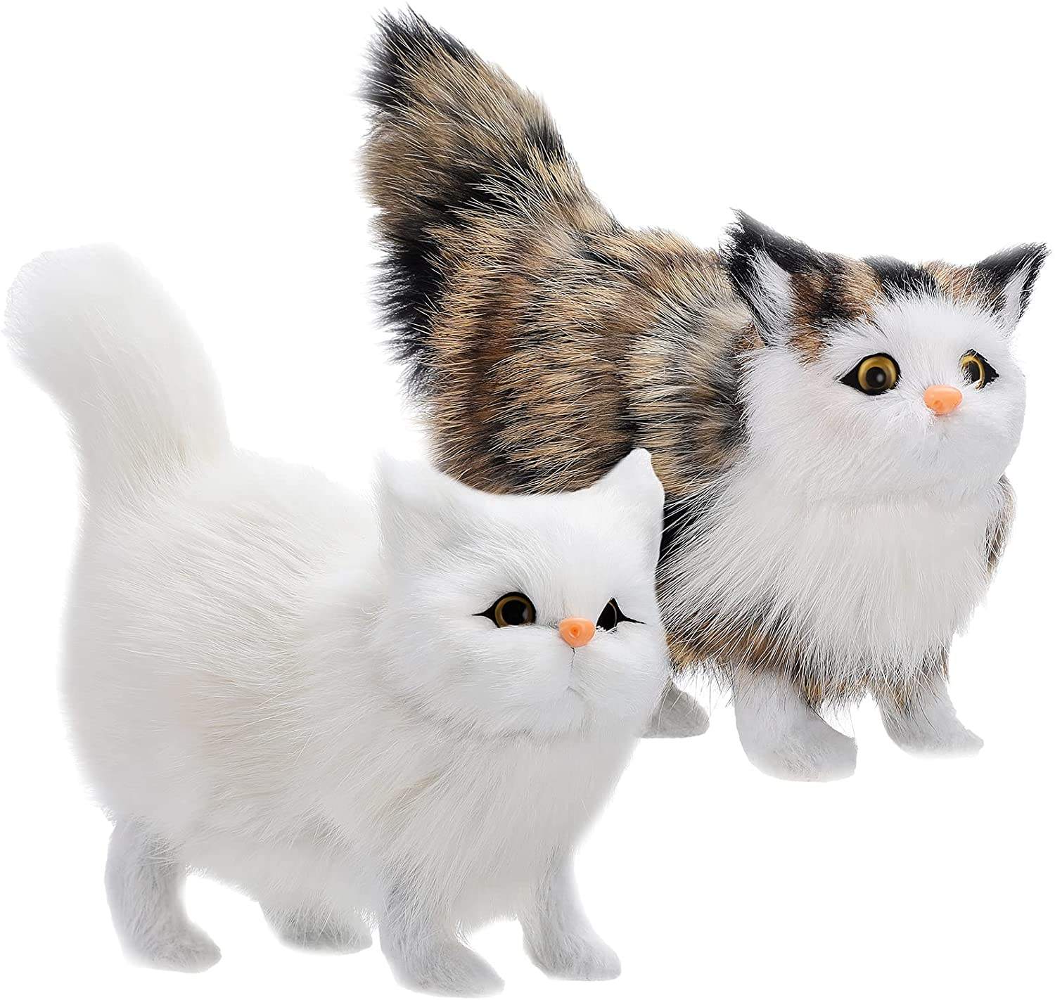 แมวเปอร์เซีย