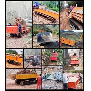 2 tấn <span class=keywords><strong>Mini</strong></span> Crawler Dump Truck cho off-road Giao Thông Vận Tải Điều kiện mới xây dựng trang trại xe với động cơ bơm thành phần cốt lõi - Product Image 6