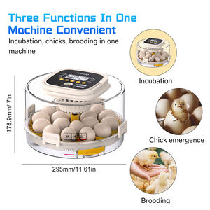 Incubateur automatique personnalisé pour 18 œufs de poule/canard, taux d'éclosion élevé avec équipement de réfrigération et d'échange de chaleur pour animaux de compagnie - Product Image 2