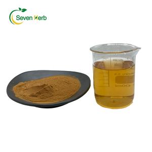 Fábrica de suprimentos Natural <span class=keywords><strong>Green</strong></span> <span class=keywords><strong>Tea</strong></span> Leaf <span class=keywords><strong>Extract</strong></span> 50% <span class=keywords><strong>90</strong></span>% 98% Chá Polifenóis para Suplementos - Product Image 2