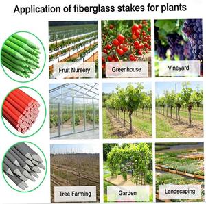 Piquets en fibre de verre pour plantes de jardin, tiges de grimpement pour tomates, pour la culture des tomates - Product Image 1