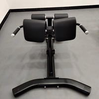 Banc d'extension du dos de gymnastique pour hommes Chaise romaine