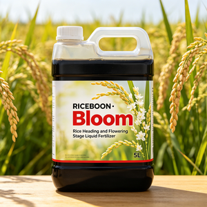 Nutrition liquide professionnelle pour la phase de floraison du riz, accélère l'épanouissement uniforme - Product Image 3