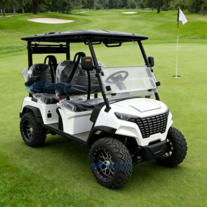 Proveedor de Carritos de Golf de Alta Calidad en Venta, Carritos Especiales para Turismo/Golf, Carrito de Golf para Turismo al Aire Libre - Product Image 3