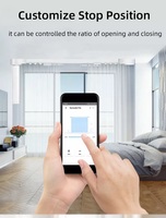 Moteur de rideau électrique intelligent Tuya TYSH avec télécommande Alexa Google, compatible Wi-Fi et rail personnalisé