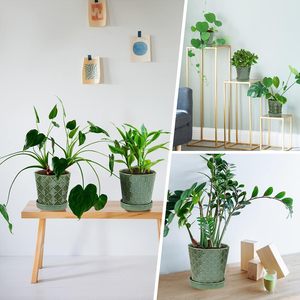 Pots de jardin, jardinières en céramique avec trou de drainage et plateau en céramique, décoration pour la maison, le rebord de fenêtre, cadeau - Product Image 4